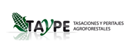 Taype